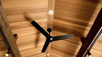 Ceiling Fan Photo